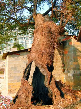 太阳成集团tyc7111cc