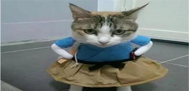 太阳成集团tyc7111cc