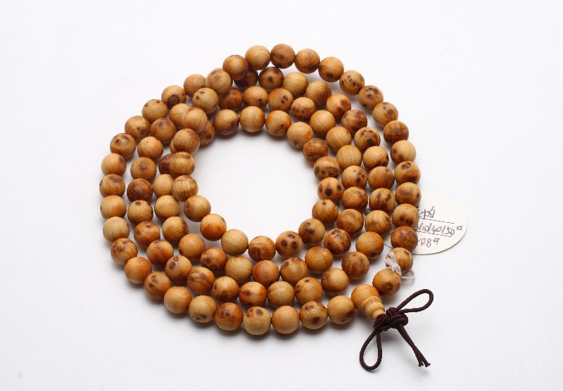 太阳成集团tyc7111cc