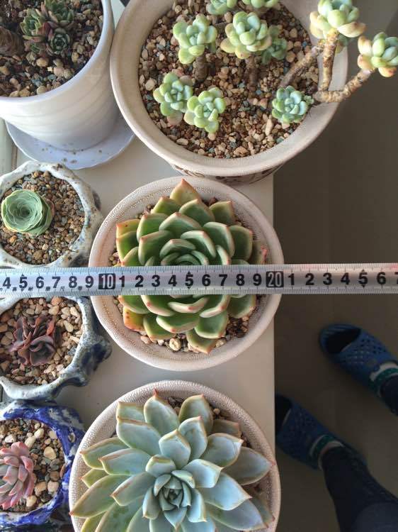 “太阳成集团tyc7111cc”第1235章 荒芜之地(图3) 太阳成集团tyc7111cc