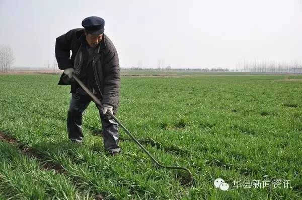 太阳成集团tyc7111cc