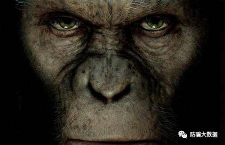 太阳成集团tyc7111cc