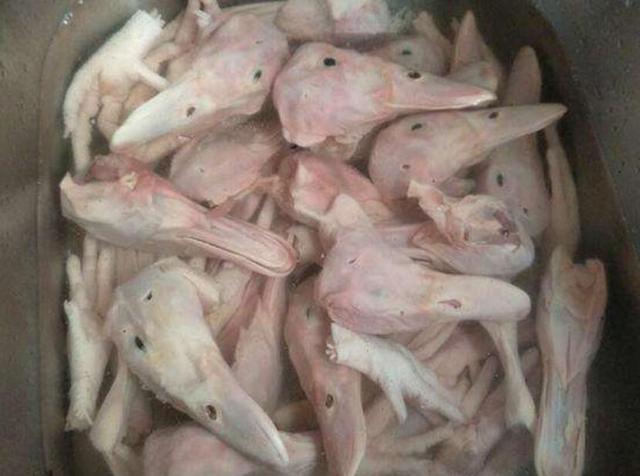 太阳成集团tyc7111cc