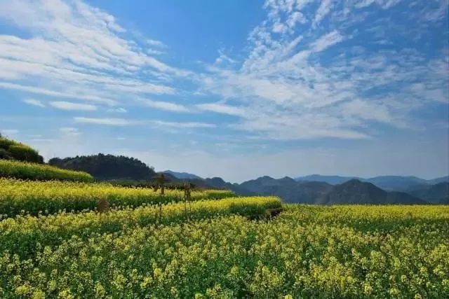 太阳成集团tyc7111cc