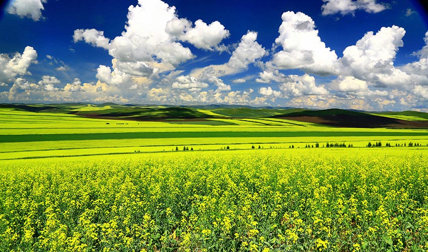 太阳成集团tyc7111cc